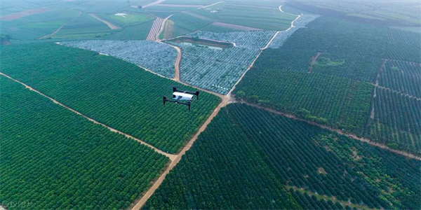 ドローン特急輸送